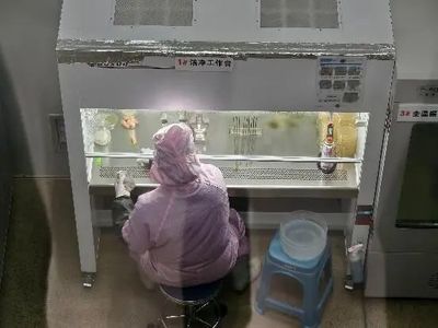 機(jī)械化助力食用菌產(chǎn)業(yè)化生產(chǎn) 為鄉(xiāng)村振興撐開“致富傘”