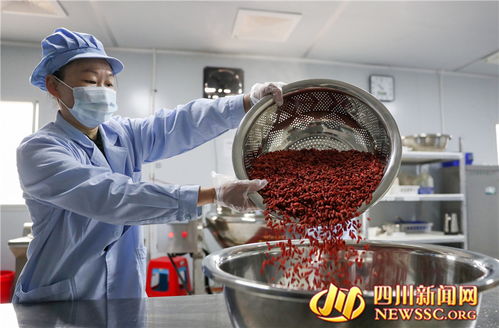 廣安鄉(xiāng)村微工廠(chǎng) 富硒食品生產(chǎn)忙，點(diǎn)燃鄉(xiāng)村振興新引擎