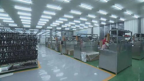 成武民營企業 揚帆出海，暢銷海內外市場